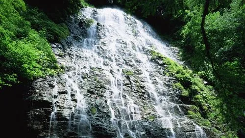 高质量稳定性高质量